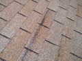 What are the dark lines running parallel to shingles on my roof?